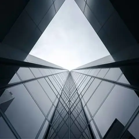 Expertise & Project Support